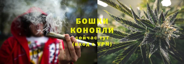 прущая мука Верея