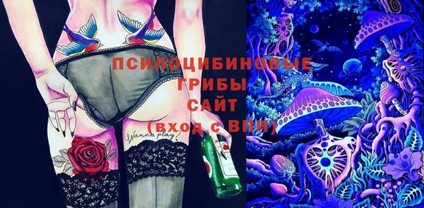 молекула духа Верхний Тагил