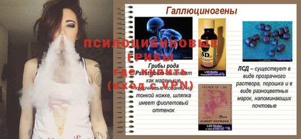 молекула духа Верхний Тагил