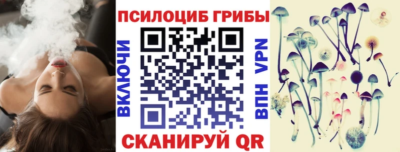 Псилоцибиновые грибы мицелий  Купить  Южноуральск 
